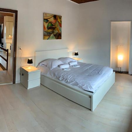 Luxury Duplex Vue Chateau Neuchâtel Eksteriør billede