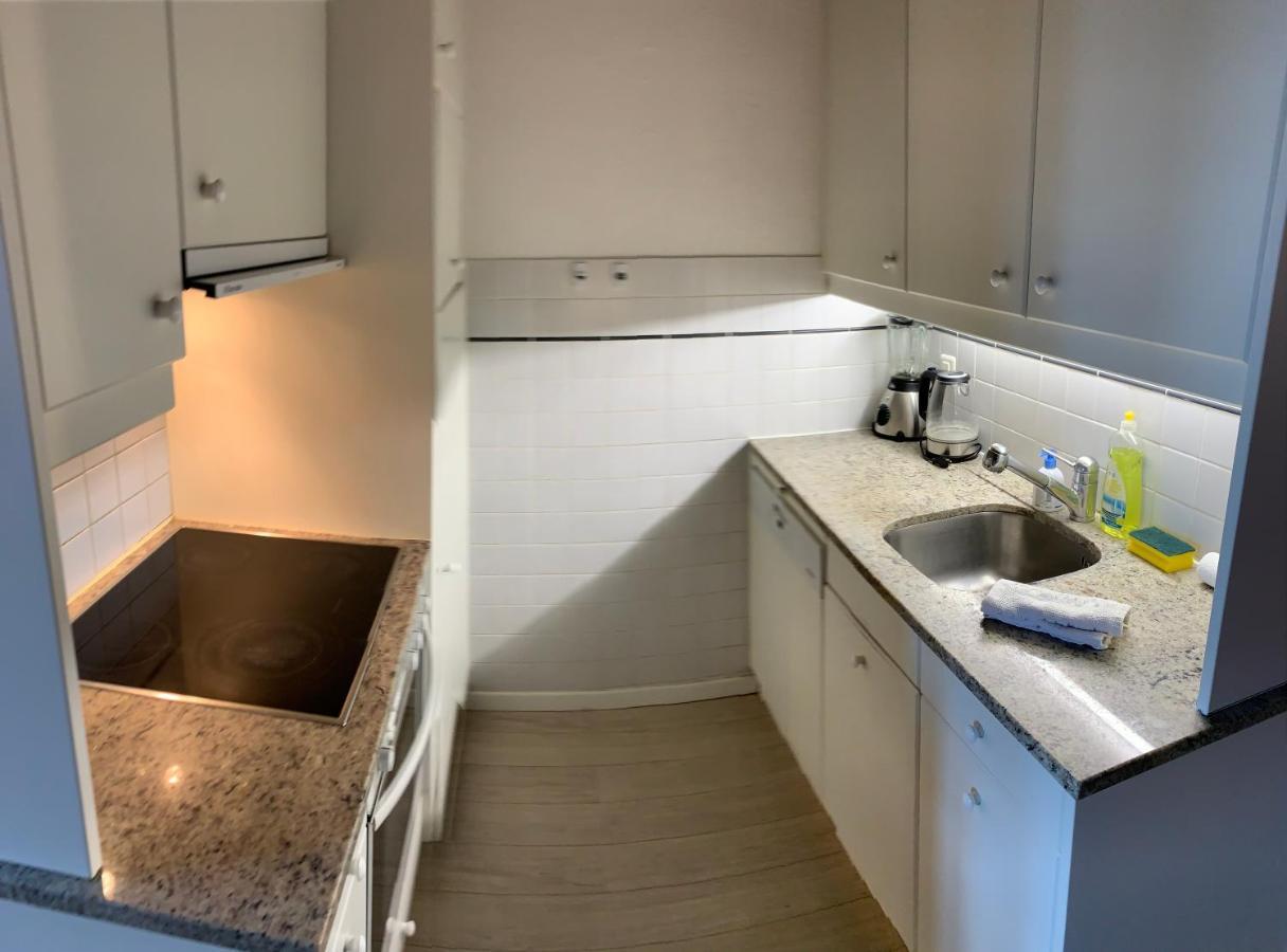 Luxury Duplex Vue Chateau Neuchâtel Eksteriør billede