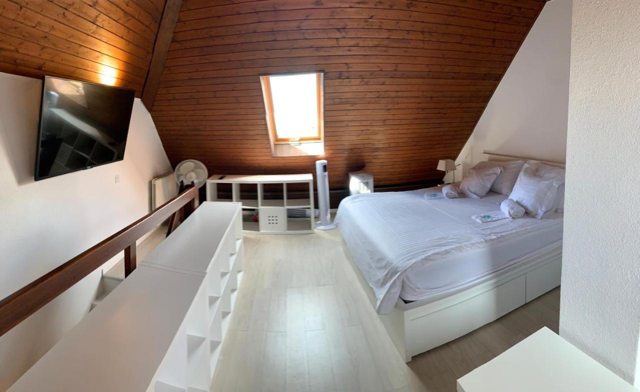 Luxury Duplex Vue Chateau Neuchâtel Eksteriør billede