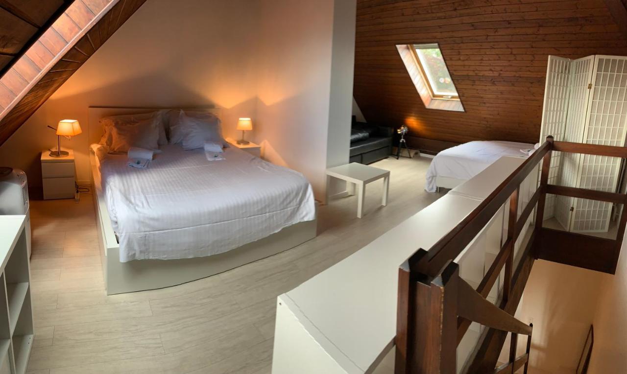 Luxury Duplex Vue Chateau Neuchâtel Eksteriør billede