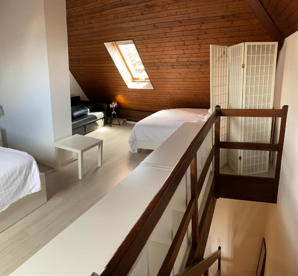 Luxury Duplex Vue Chateau Neuchâtel Eksteriør billede