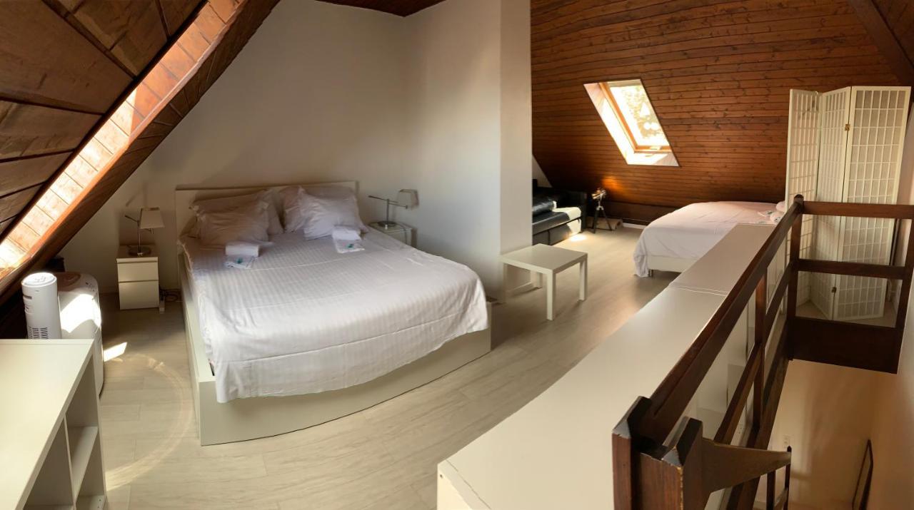 Luxury Duplex Vue Chateau Neuchâtel Eksteriør billede