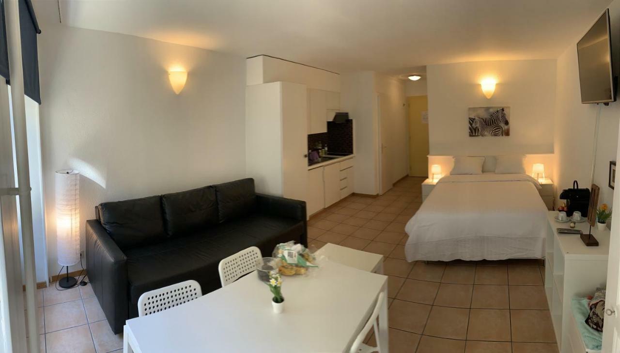 Luxury Duplex Vue Chateau Neuchâtel Eksteriør billede