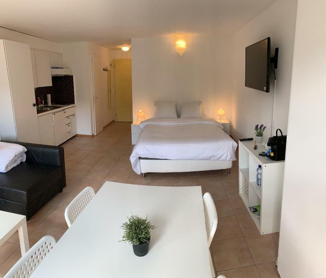 Luxury Duplex Vue Chateau Neuchâtel Eksteriør billede